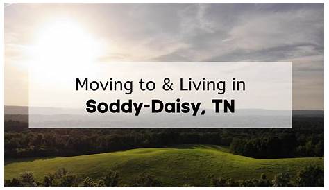 Soddy Definition Us History (Историческая ассоциация Дейзи и Монтлейка)