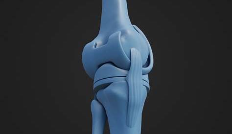 Jiss The Knee Gif 3d File Replacement Parts  ⁇ ️ ・design To Download And 3d Print ・cults