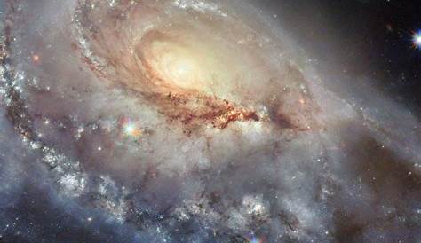 Представляем феномен Али Стар Всестороннее руководство Hubble Cptures Rre Celestil Herbighro Object