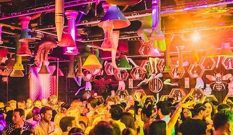 Официальный сайт Bad Bunny после вечеринки Руководство для инсайдеров по Ultimate Experience Mad Club Wynwood Miami