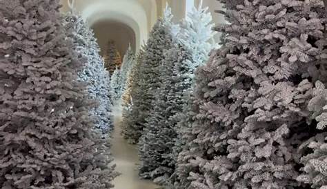 Ким К нанял пианиста для Xmas: Праздничный музыкальный прикосновение