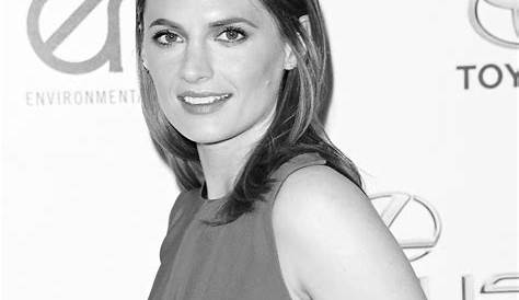 Оригинальное название: The Charismatic Journey of Stana Katic