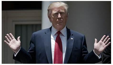 Утверждения Дональда Трампа: всеобъемлющий обзор