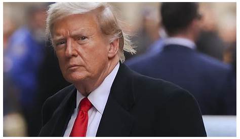 Breaking News: Дональд Трамп — последние обновления и прогнозы