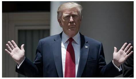 Понимание клеветнических дел Дональда Трампа: всеобъемлющий обзор