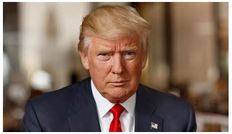 Где сейчас Дональд Трамп? — Взгляд изнутри на его текущую жизнь и деятельность