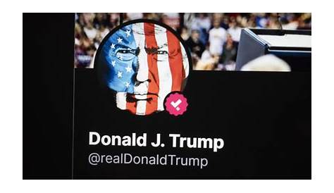Реальный Дональд Трамп: влияние социальных сетей на политику