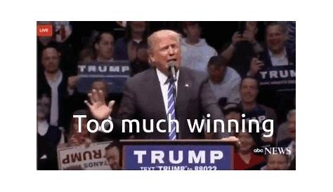 Победа Дональда Трампа в GIF: всеобъемлющее руководство по пониманию его популярности и влияния