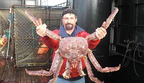 Оригинальное название: King Crab Derby: A Deep Dive Into the Thrilling World of Crab Fishing